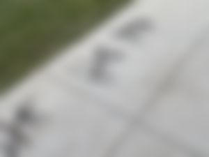 1st grade math outside